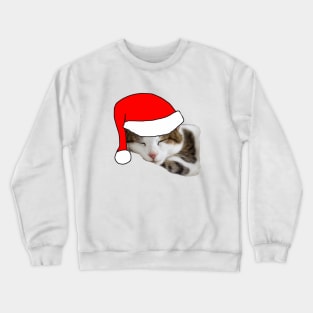 Christmas Cat in a Santa Hat Crewneck Sweatshirt